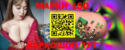 spice Кинель