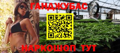 эйфоретик Кингисепп