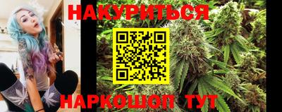 эйфоретик Кингисепп