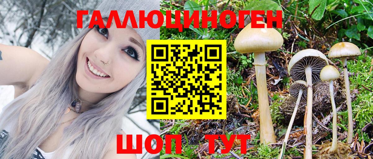 Галлюциногенные грибы MAGIC MUSHROOMS Юрга
